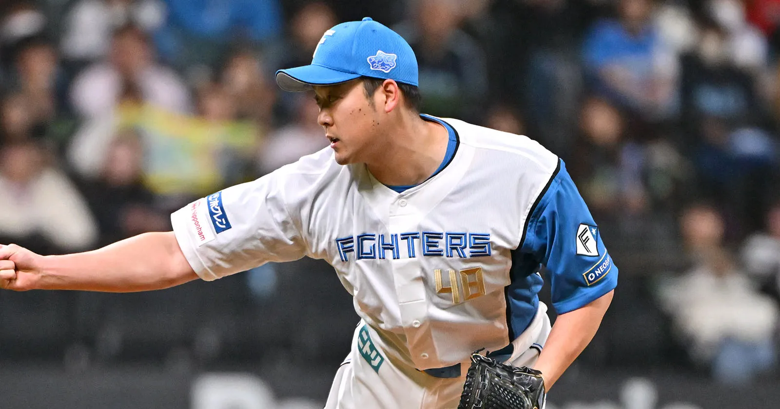 Official] Yukiya Saito (Hokkaido Nippon-Ham) | Pacific League
