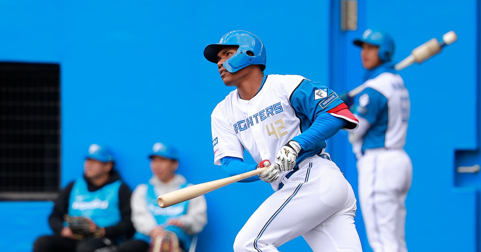 エドポロ ケイン