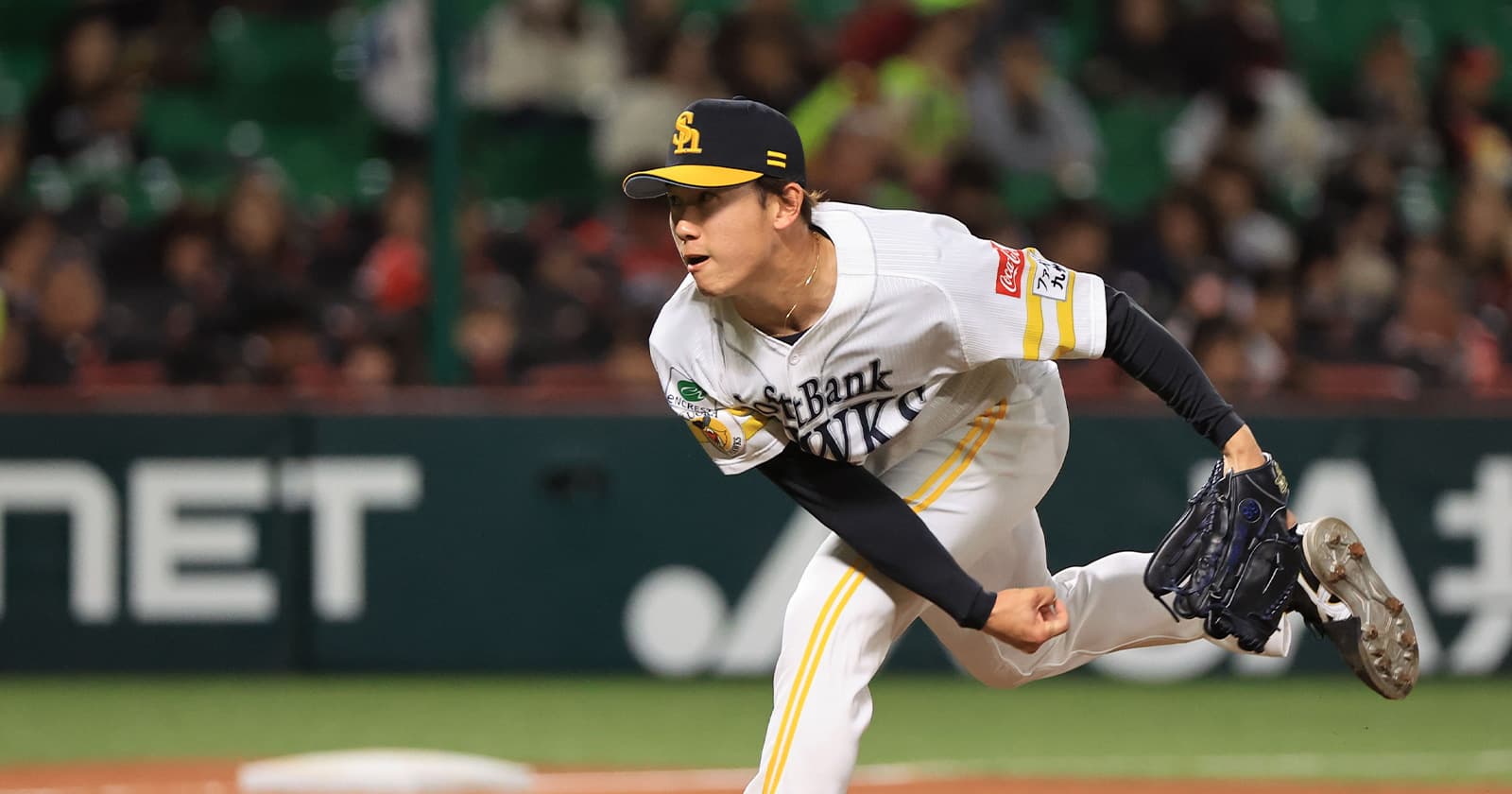 木村光 成績／動画