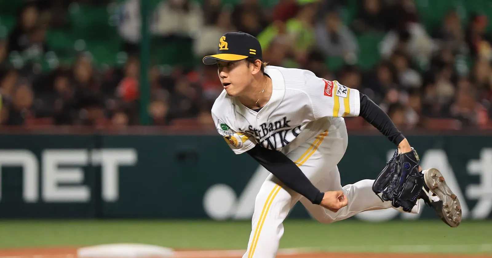 木村光 成績／動画