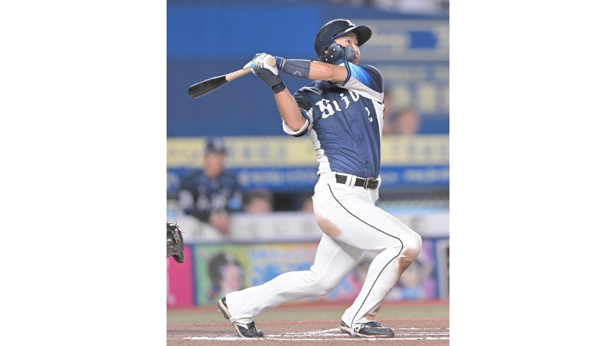 硬式木製バット NPB 山村崇嘉 硬式木製バット NPB 山村崇嘉