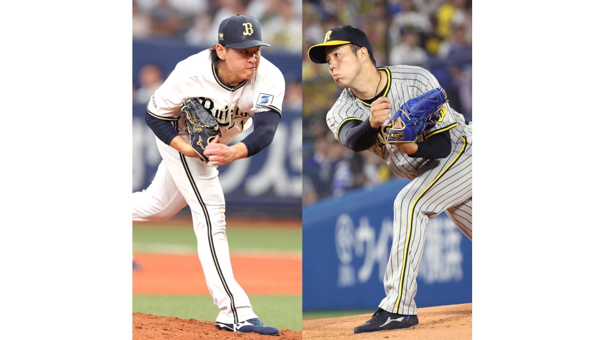 ON夢決戦　使用球　日本シリーズ ON夢決戦 使用球 日本シリーズ SMBC日本シリーズ2024 使用済み試合球