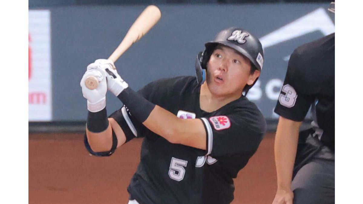 千葉ロッテマリーンズ　安田尚憲　支給　バット　ロッテ　ミズノ　プロ野球　NPB jambalaya_23top206-115