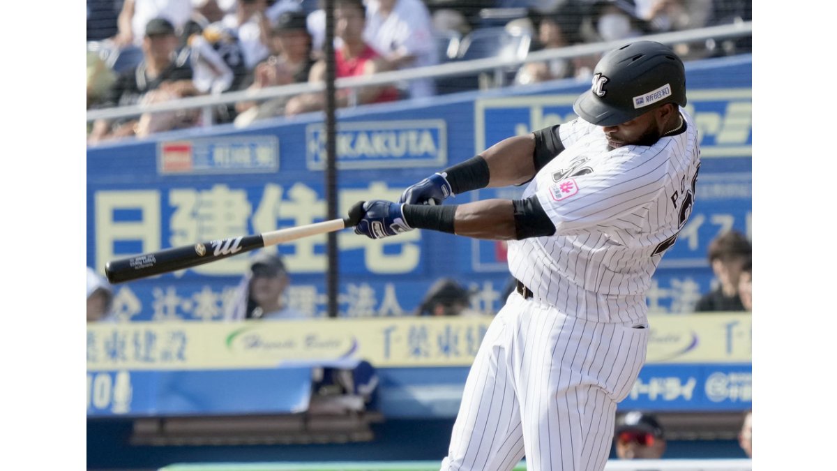 千葉ロッテマリーンズ　ポランコ選手実使用バット 千葉ロッテマリーンズ ポランコ選手実使用バット