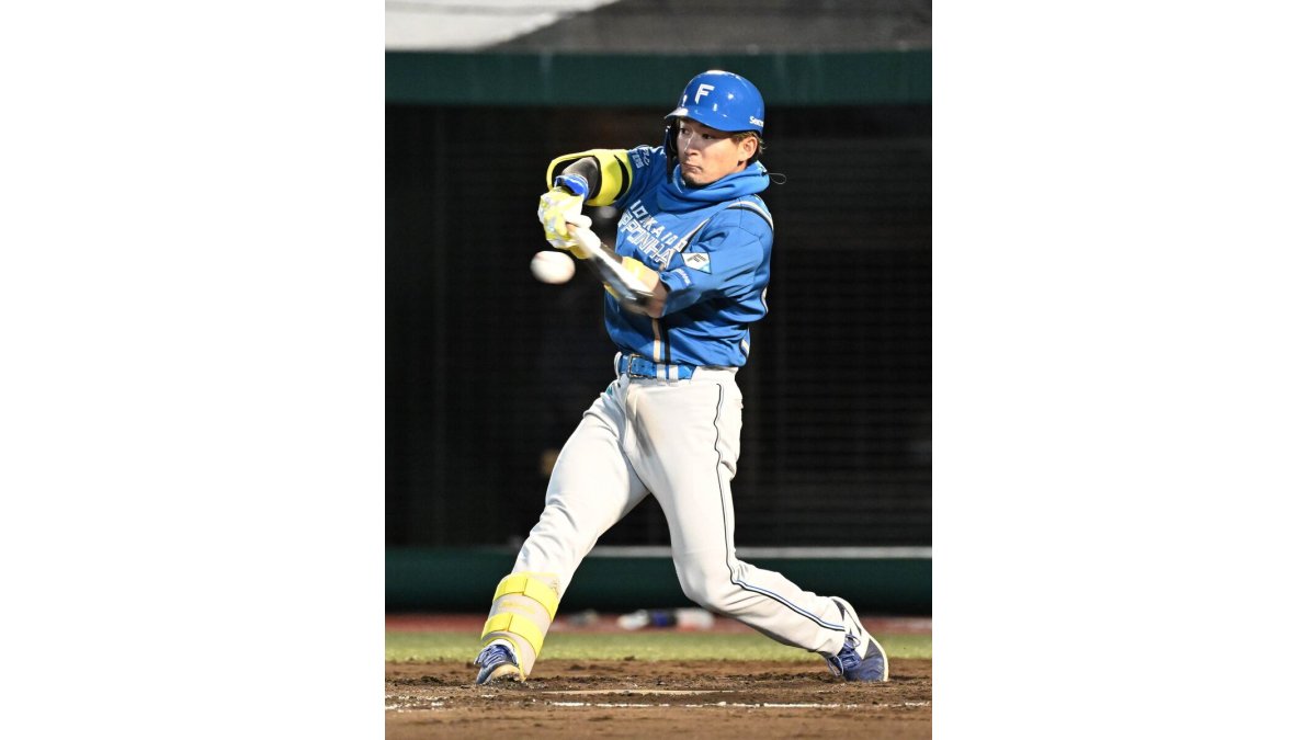 プロ野球大型メンコ？ 2025年最新】プロ野球選手メンコの人気アイテム