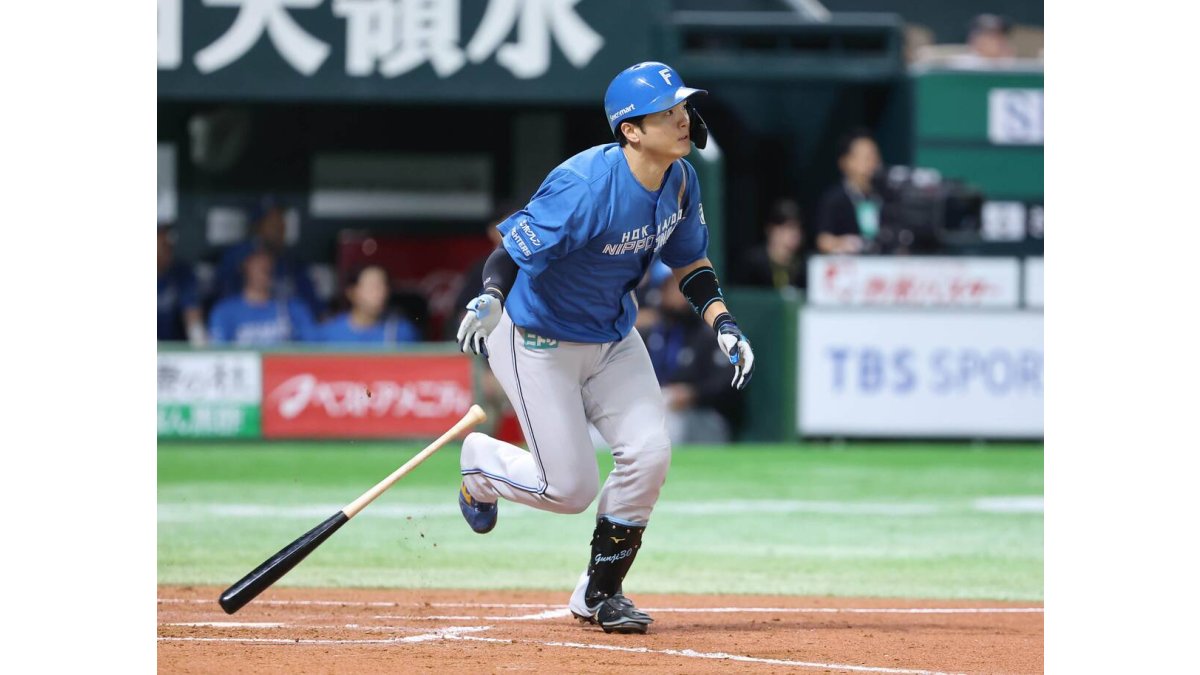 NPBバット 郡司裕也 NPBバット 郡司裕也 NPBバット 郡司裕也 01131447_6784a90eab18f.jpg