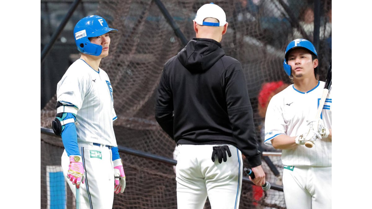 T*C様 プロ野球規格 清宮幸太郎選手 バット T*C様 プロ野球規格 清宮幸太郎選手 バット
