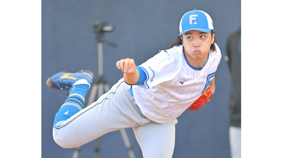 再値下げプロ野球選手★人気ブロマイド20円30付＋５連続★未開封35枚 プロ野球チップス2026 レジェンド引退選手カード 中田翔 森唯斗 - メルカリ