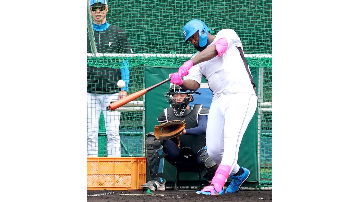 日本ハム】レイエス、球団初の大台へ「50本打つ」…驚がく初フリー