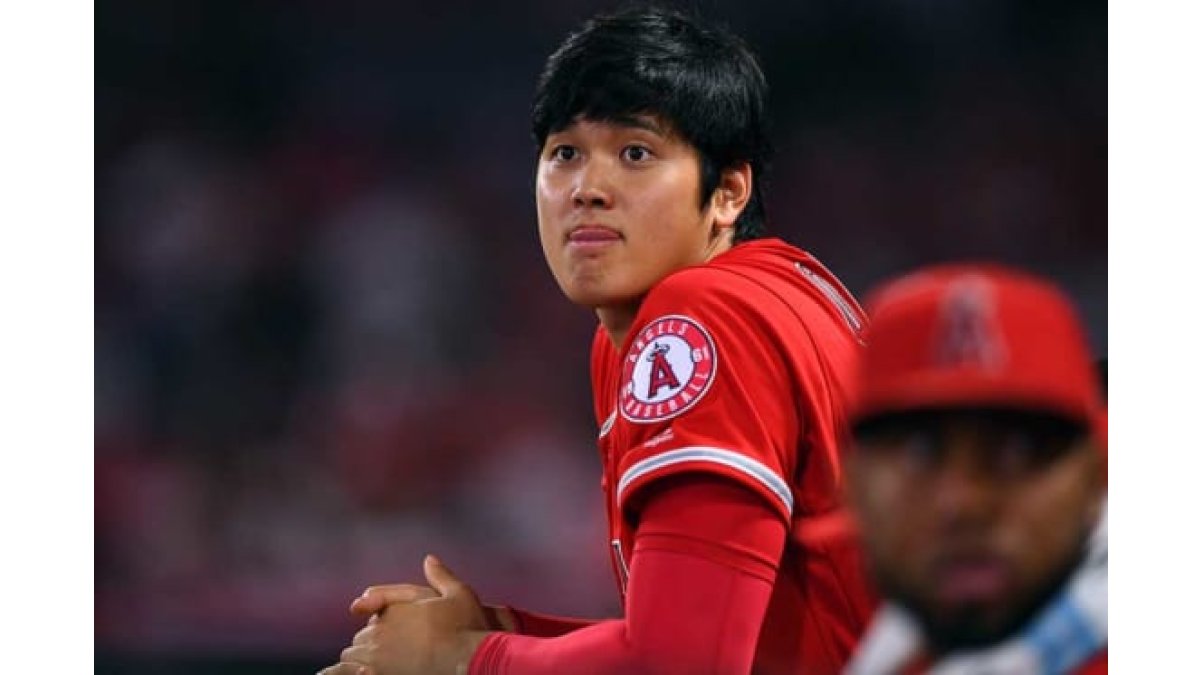 【寿司ボーイ】大谷翔平　2015年パリーグ　投手三冠記念盾 寿司ボーイ様専用】大谷翔平 2015年パリーグ 投手三冠記念盾 - メルカリ