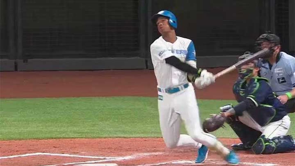 万波中正選手　のぼり　旗 未使用 背番号66 万波中正 選手 約180cm のぼり旗 非売品 北海道 日本