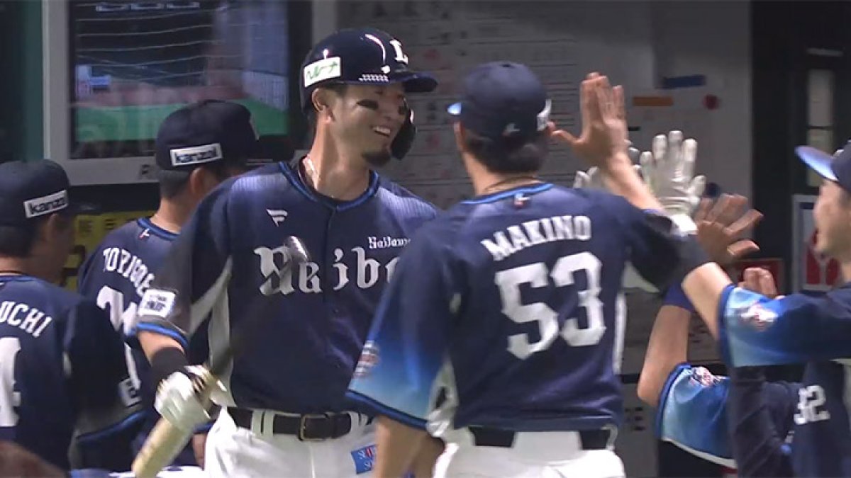 ライオンズさん専用　売りたくない！来た日に奇跡が起きた！特別なミックスルチル ライオンズさん専用 売りたくない！来た日に奇跡が起きた！特別な