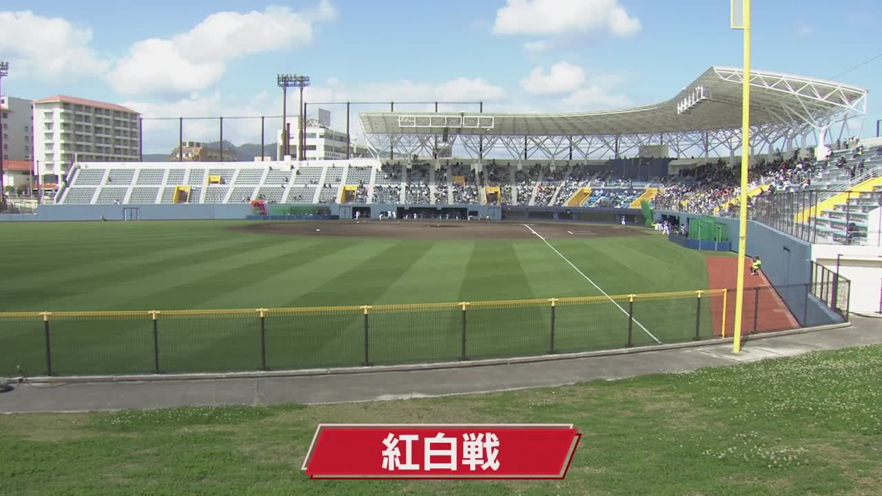 ファイターズ 紅白戦