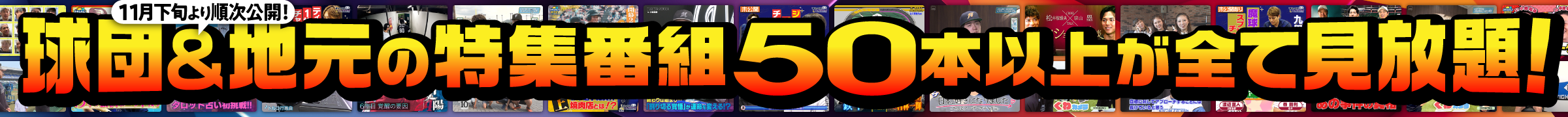 キャンペーン(PC)