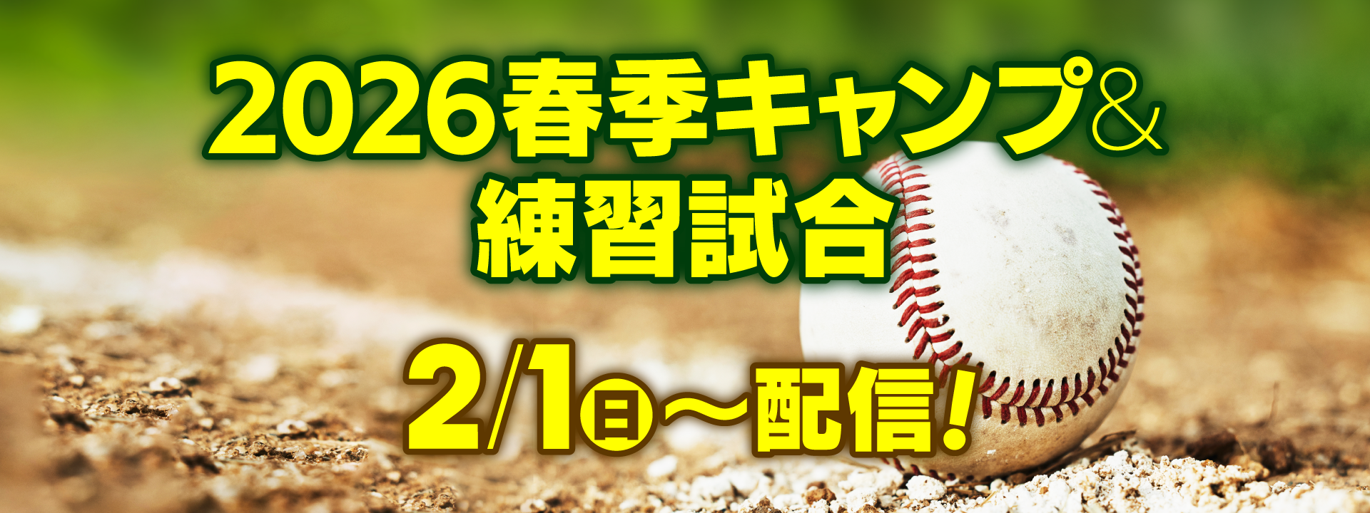 キャンペーン(SP)