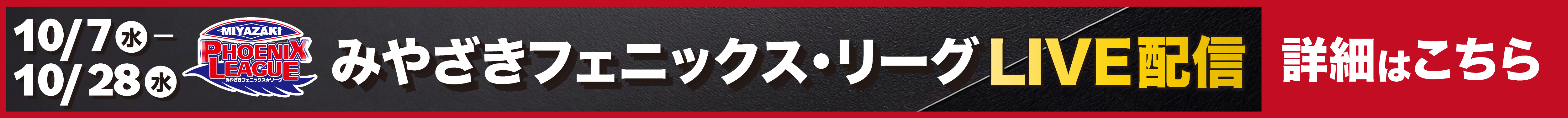 キャンペーン(PC)
